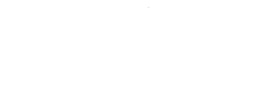 acsr_300